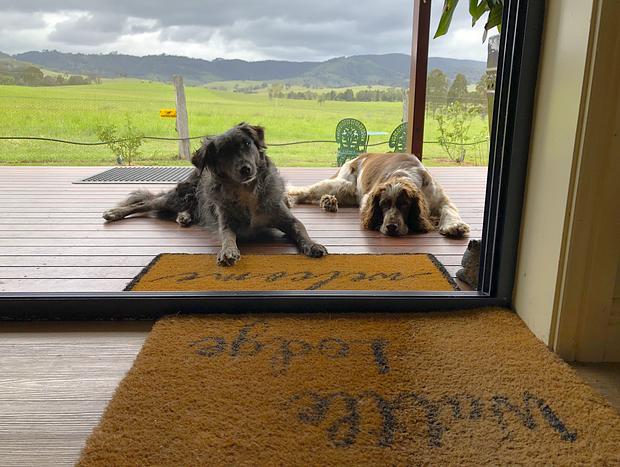 Photo 17 for Escape to The Wattle Lodge