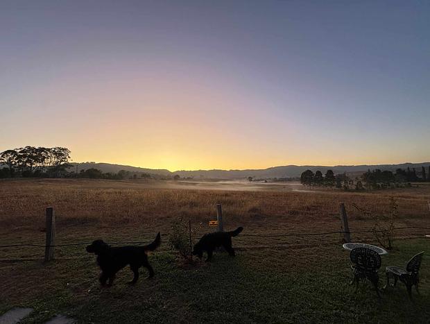 Photo 26 for Escape to The Wattle Lodge