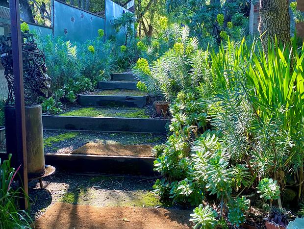 Photo 9 for Salt Spring Art Retreat