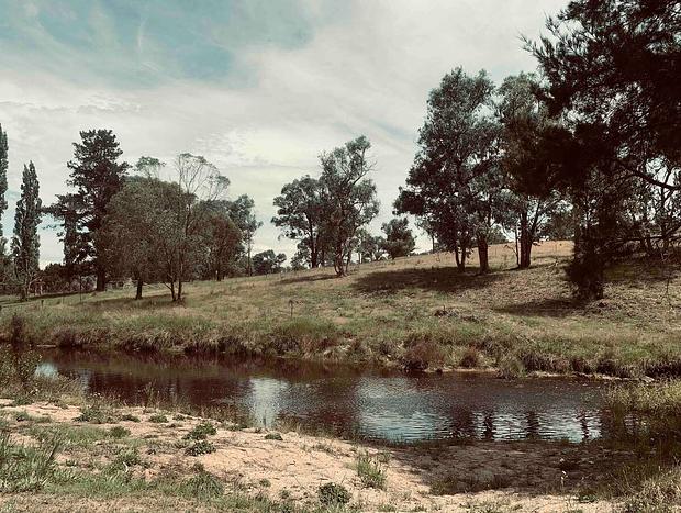 Photo 13 for Echidna Tent - Peppermint Flat Glamping
