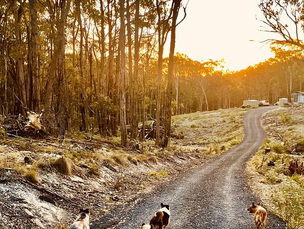 Photo 29 for Retreat in the Macedon Ranges