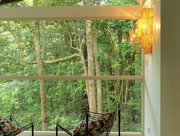 Photo 14 for Lyrebird House - Foxground Coastal Rainforest Retreat