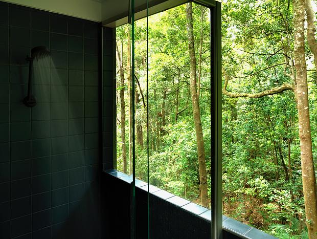 Photo 12 for Lyrebird House - Foxground Coastal Rainforest Retreat