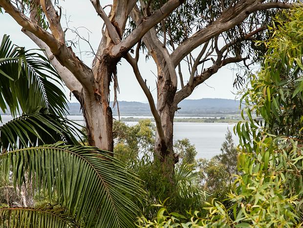 Photo 28 for Green Point House