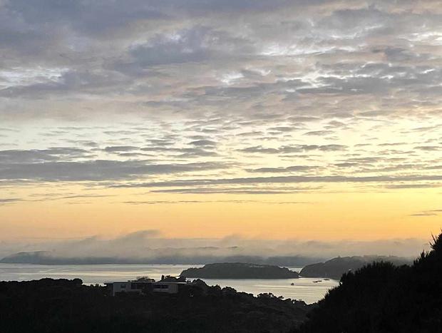 Photo 11 for Private with Stunning Ocean and Bush Views- Tui View Cabin