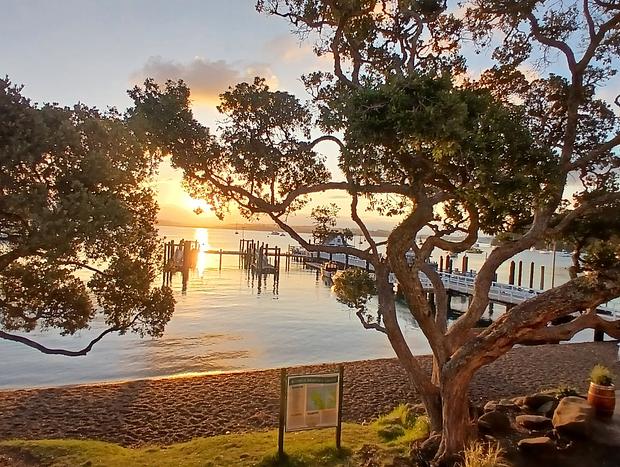 Photo 12 for Private with Stunning Ocean and Bush Views- Tui View Cabin