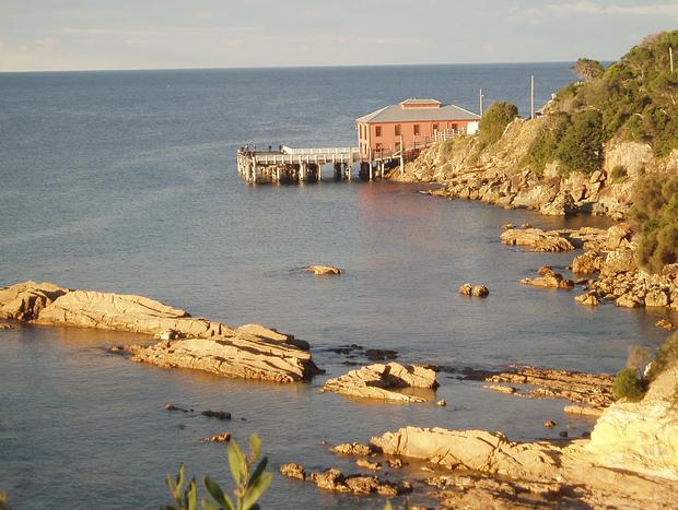Photo 27 for Escape to Nature just minutes from Tathra.