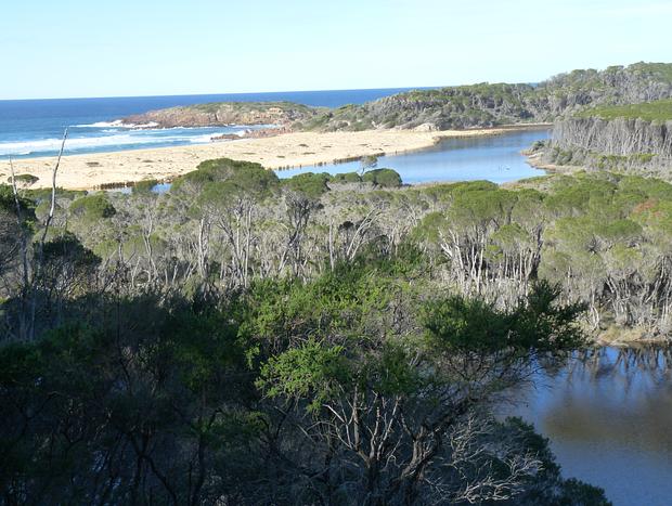 Photo 30 for Escape to Nature just minutes from Tathra.