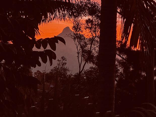 Photo 12 for Rainforest living in the heart of Mur'bah