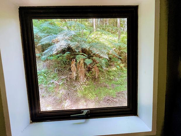 Photo 11 for Wonderforest Tiny House in Trees