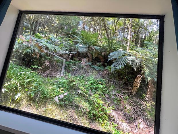 Photo 20 for Wonderforest Tiny House in Trees