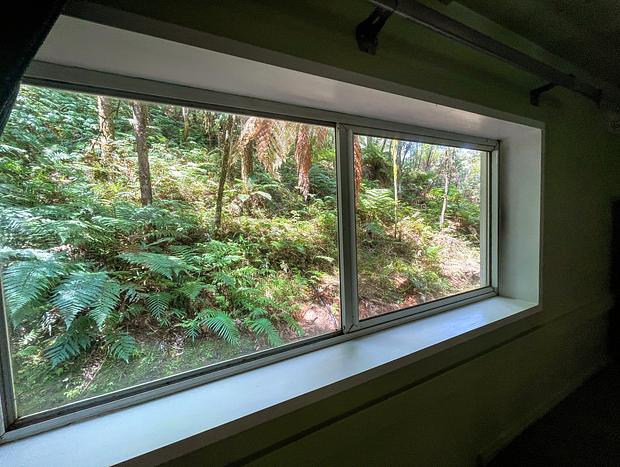Photo 15 for Wonderforest Tiny House in Trees