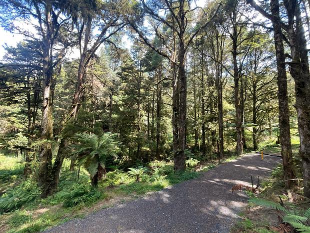 Photo 22 for Wonderforest Tiny House in Trees