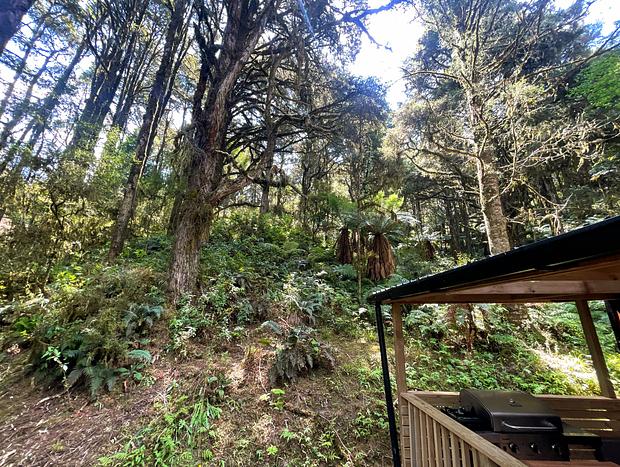 Photo 23 for Wonderforest Tiny House in Trees