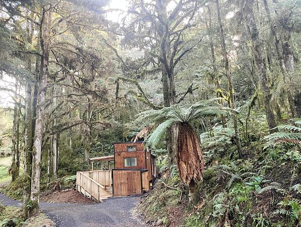 Photo 4 for Wonderforest Tiny House in Trees