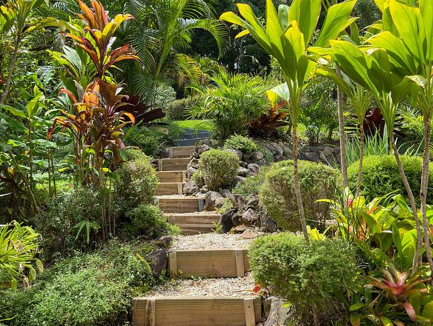 Photo 31 for Rainforest living in the heart of Mur'bah