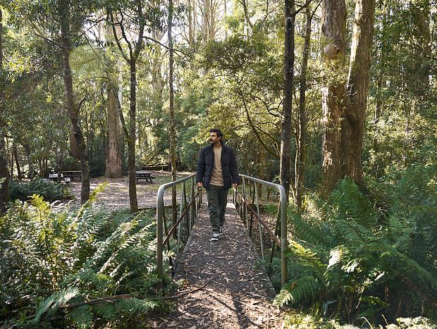 Photo 27 for Laidback Banksia