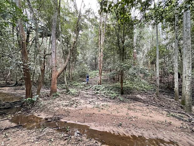 Photo 33 for Wild Haven - Off-grid Glamping Escape with Wildlife and Tranquility