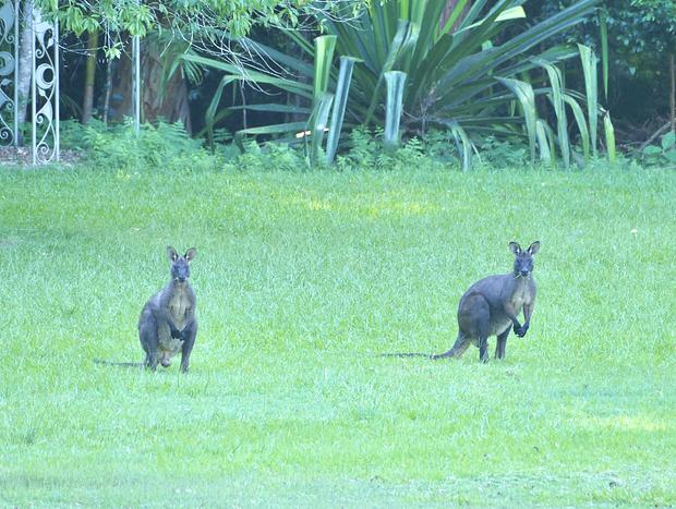 Photo 25 for Wild Haven - Off-grid Glamping Escape with Wildlife and Tranquility