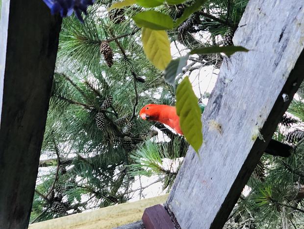 Photo 27 for Wild Haven - Off-grid Glamping Escape with Wildlife and Tranquility