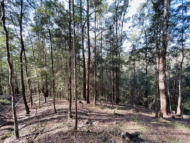 Photo 32 for Wild Haven - Off-grid Glamping Escape with Wildlife and Tranquility