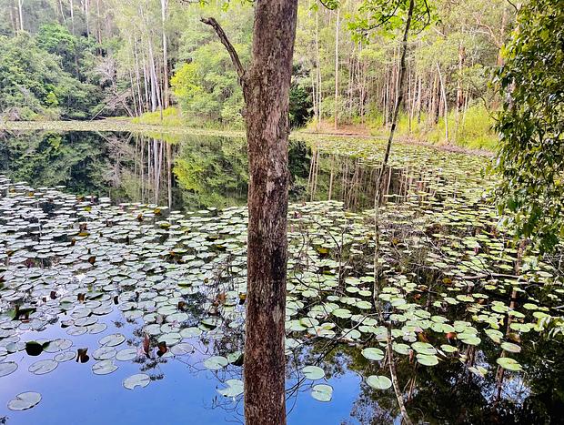 Photo 6 for Wild Haven - Off-grid Glamping Escape with Wildlife and Tranquility