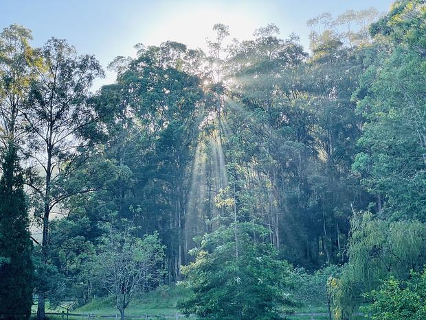 Photo 31 for Wild Haven - Off-grid Glamping Escape with Wildlife and Tranquility