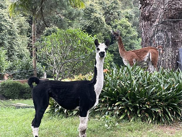 Photo 24 for Wild Haven - Off-grid Glamping Escape with Wildlife and Tranquility