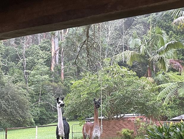 Photo 28 for Wild Haven - Off-grid Glamping Escape with Wildlife and Tranquility