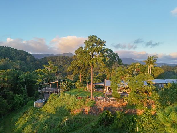 Photo 7 for Pocket of Paradise