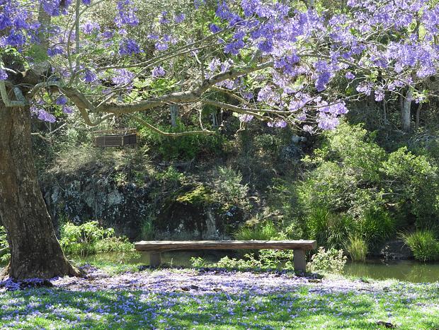 Photo 19 for Avalon River Retreat - A Healing Place