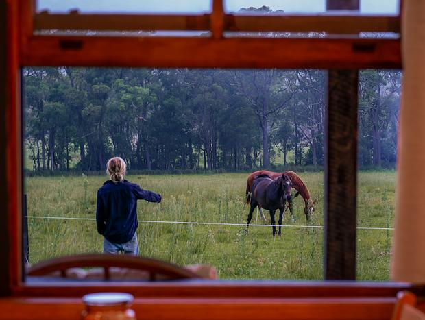 Photo 25 for Cozy Cottage Stay in Kangaroo Valley