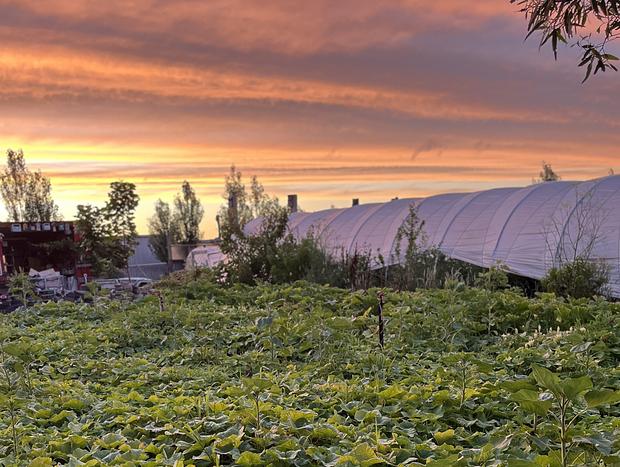Photo 43 for Immersive Farm Stay on South Gippsland Coast