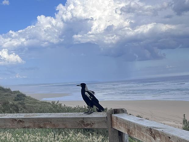Photo 39 for Immersive Farm Stay on South Gippsland Coast