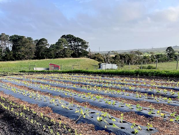 Photo 38 for Immersive Farm Stay on South Gippsland Coast