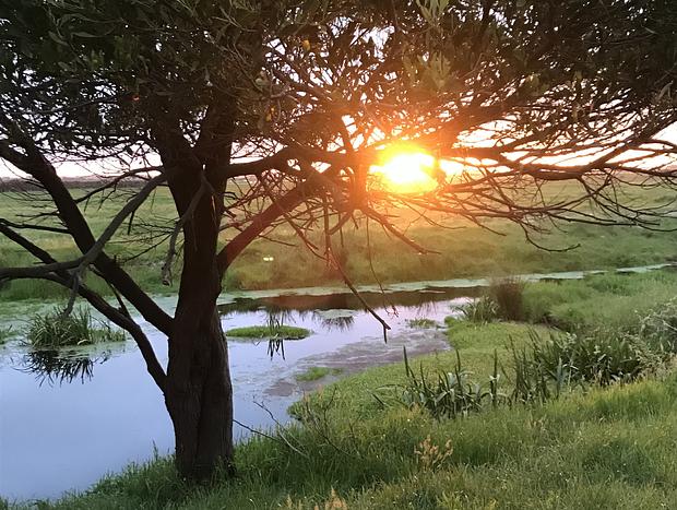 Photo 42 for Immersive Farm Stay on South Gippsland Coast