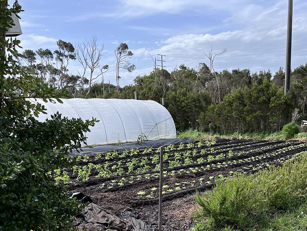 Photo 35 for Immersive Farm Stay on South Gippsland Coast