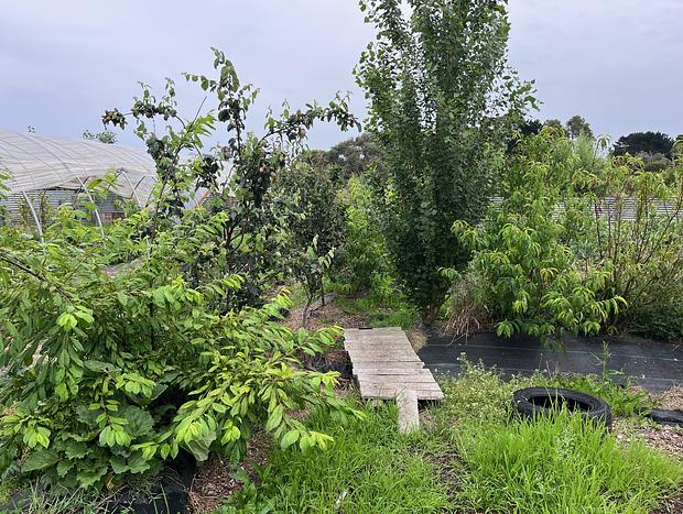 Photo 34 for Immersive Farm Stay on South Gippsland Coast