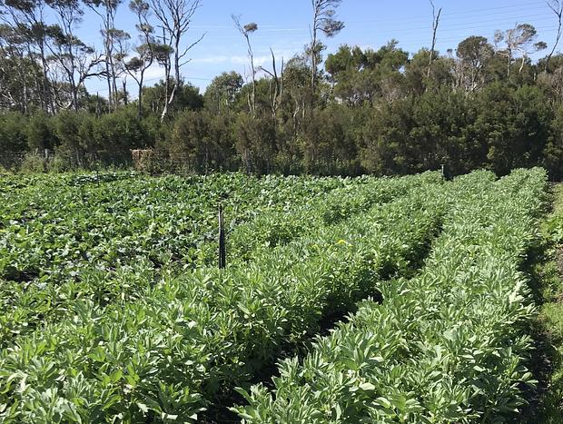 Photo 37 for Immersive Farm Stay on South Gippsland Coast