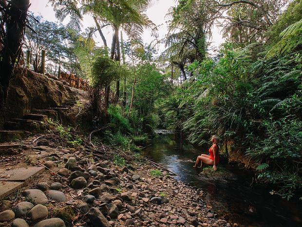 Photo 29 for Kingfisher Cottage: Your Tranquil Escape in Nature’s Embrace