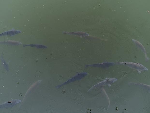 Photo 6 for undefined