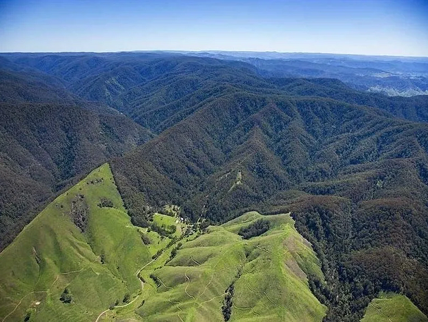 Photo 4 for Hidden Haven Barrington Tops
