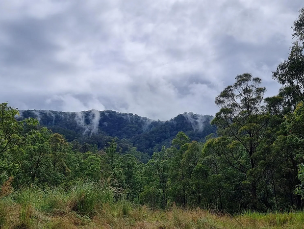 Photo 6 for Hidden Haven Barrington Tops
