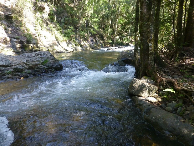 Photo 7 for Hidden Haven Barrington Tops