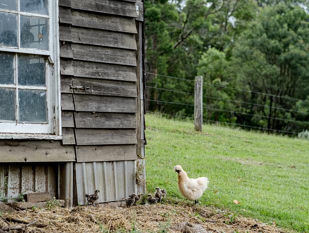 Photo 40 for The Art of Slow Living: A Retreat in the Hills