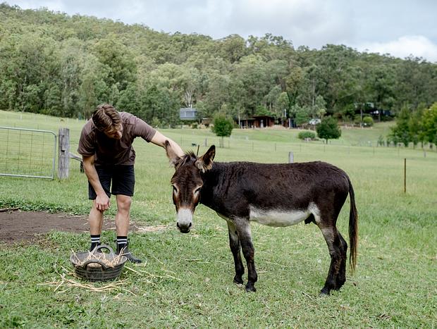 Photo 38 for The Art of Slow Living: A Retreat in the Hills