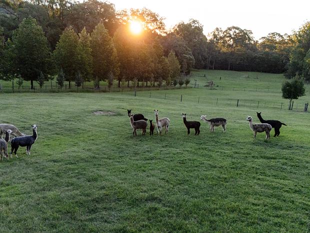 Photo 43 for The Art of Slow Living: A Retreat in the Hills