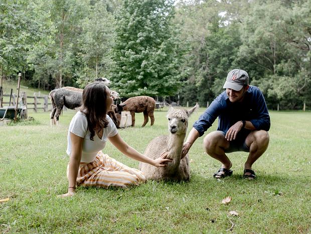 Photo 12 for The Alpaca Farm