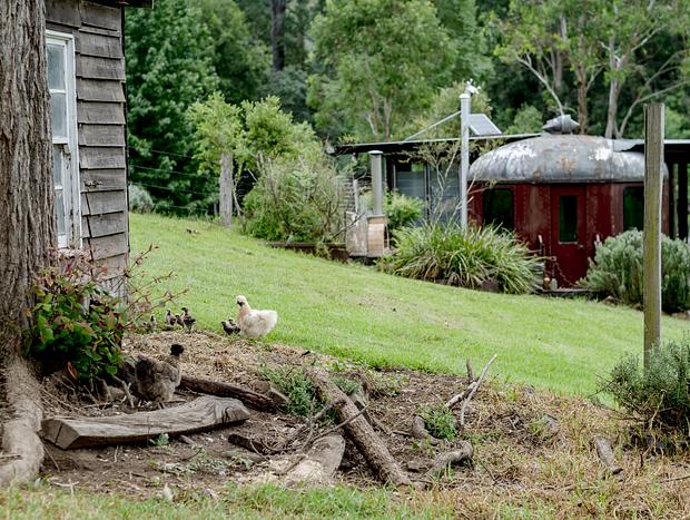 Photo 14 for The Alpaca Farm