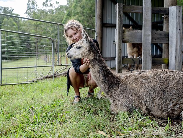 Photo 16 for The Alpaca Farm
